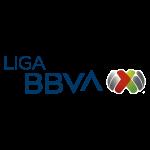 Liga clausura